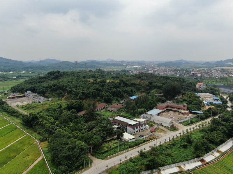 1734140168.jpg 華南農(nóng)業(yè).jpg